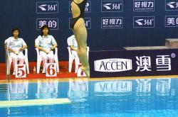 爱游戏官方入口-美洲冠军霸气夺冠，精湛技艺惊艳全场的简单介绍