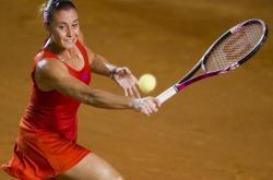 爱游戏-墨西哥体操选手挑战自我，获得优异成绩的简单介绍