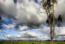 AYX官方直播-篮球职业联赛球队大手笔引援，备战新赛季