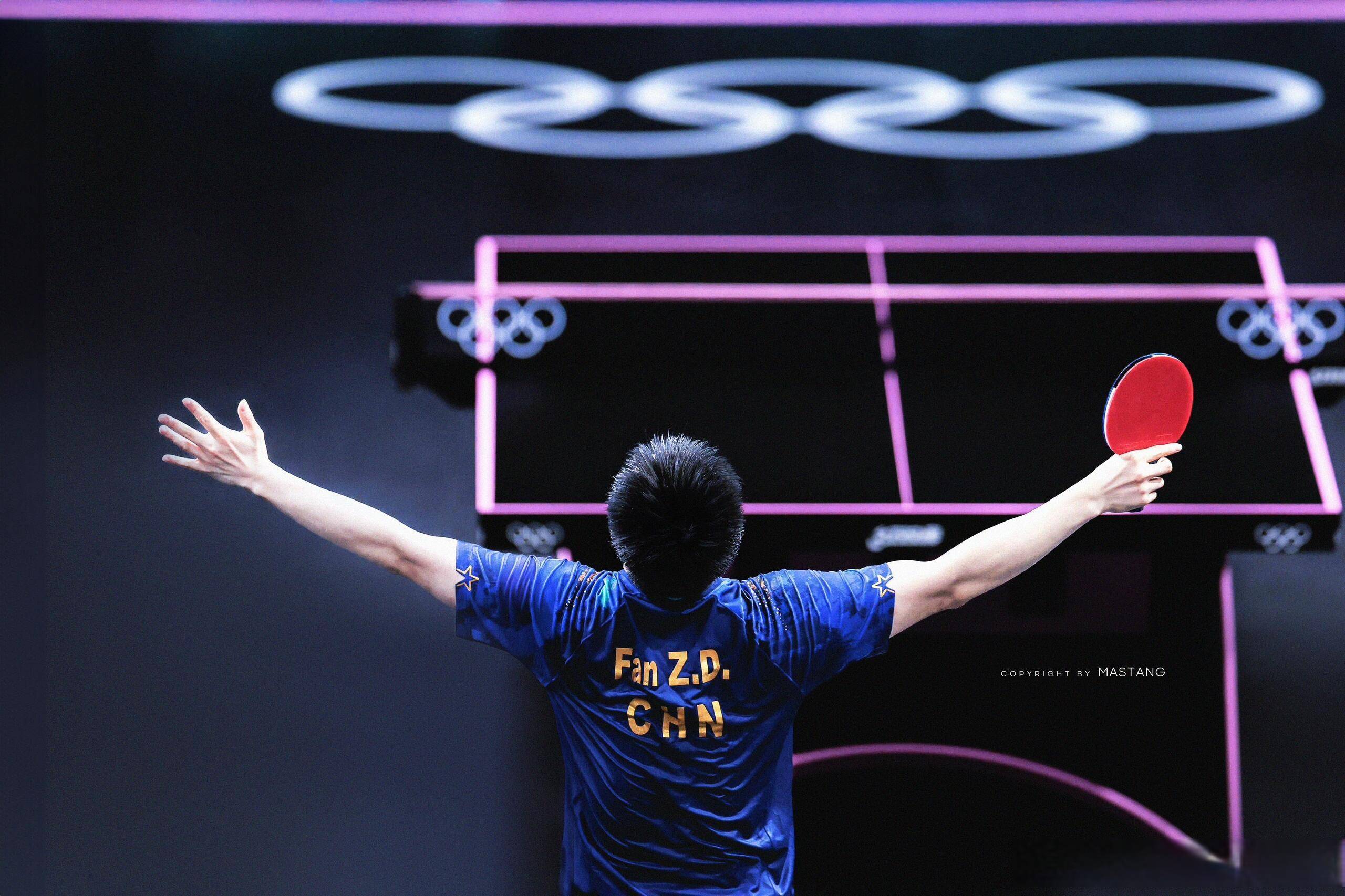 法国乒乓球队逆转波兰乒乓球队，张继科绝境逆转的简单介绍