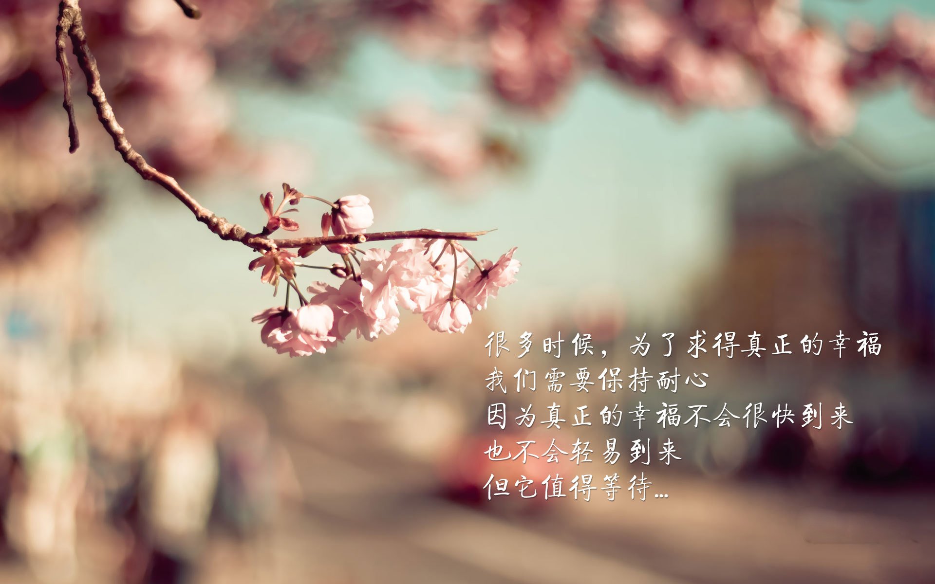 欧冠淘汰赛焦点战,骑士强势晋级,黄蜂虽败犹荣