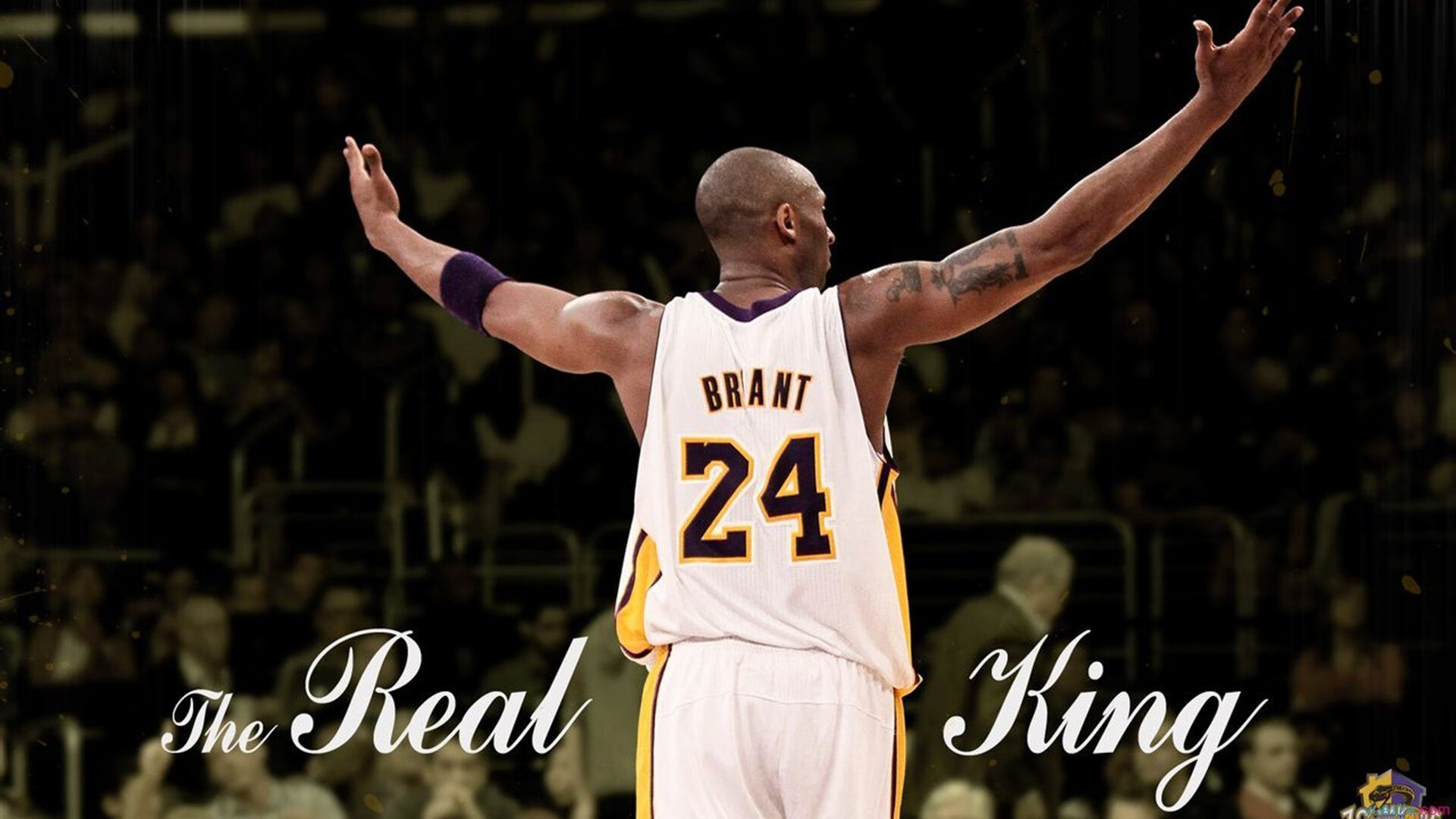 篮球与足球的奇妙共鸣，当欧冠半决赛的战术博弈照亮灰熊稳稳拿下湖人的启示